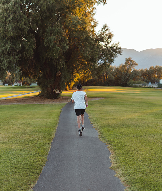 A Digital & Cretive Agency of Inteligent People.